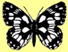 ag-rh-w-lepidopterologen logo